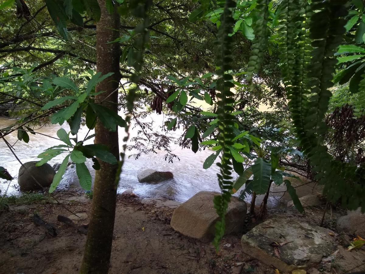 Вилла Casa Kumake Tayrona Эль-Саино Экстерьер фото