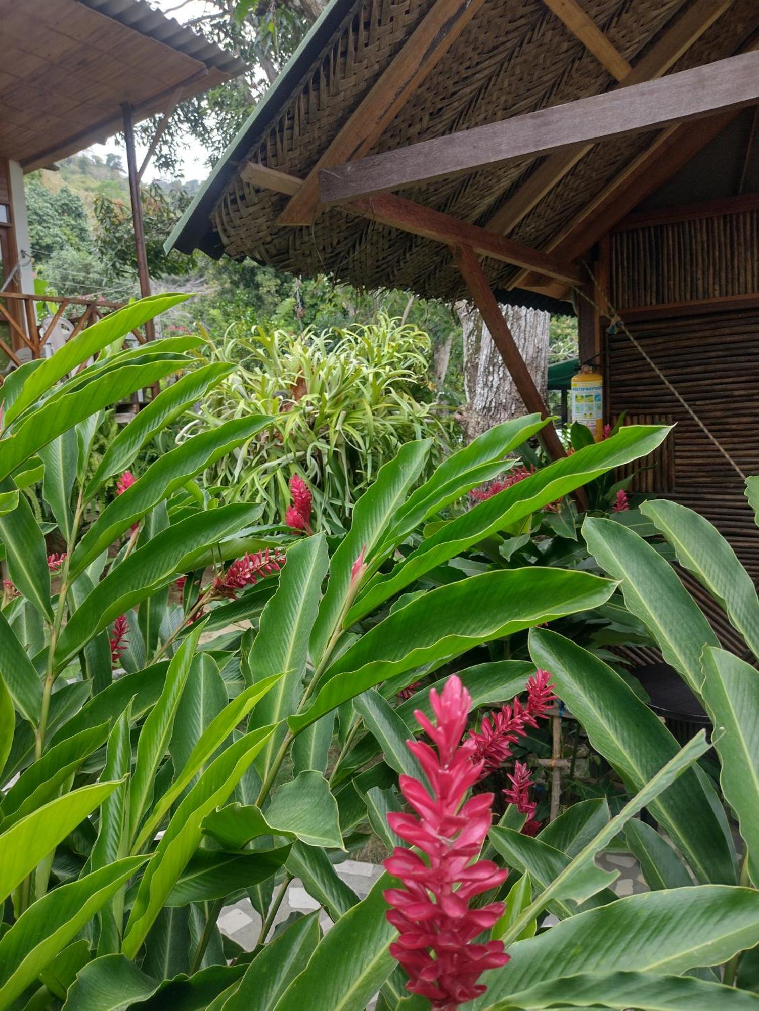 Вилла Casa Kumake Tayrona Эль-Саино Экстерьер фото